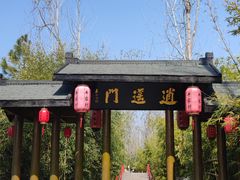 -合肥滨湖国家森林公园