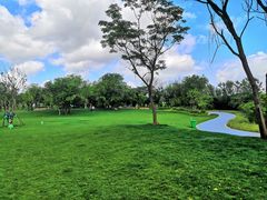 -盘龙城国家考古遗址公园