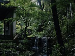 -虎跑公园