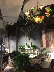 -salon漫