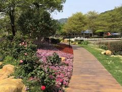 -碧水湾温泉