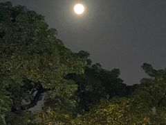-卡朋西餐(较场西路店)