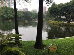 -晓港公园