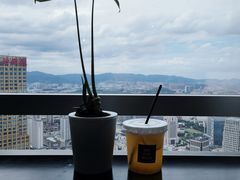 -南昌双子塔303观光厅