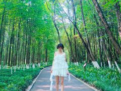 -桤木河湿地公园