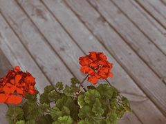 -Palette·花籁咖啡烘焙