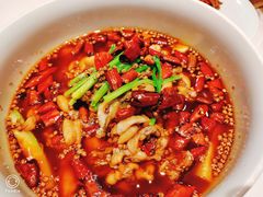 -沸腾鱼乡(知春路分店)