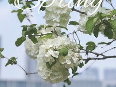 -尚贤河湿地