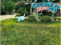 -重庆海昌加勒比海水世界