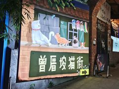 门面-有猫主题·治愈系猫咖(曾厝垵店)