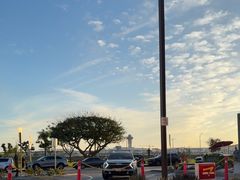 -In-N-Out Burger(LAX)