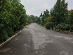 -食家鸽园