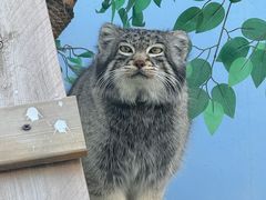 -青藏高原野生动物园