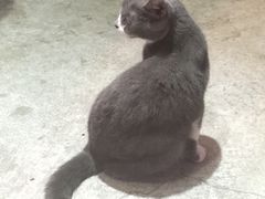 -MIKAKU(万达广场上海宝山店)