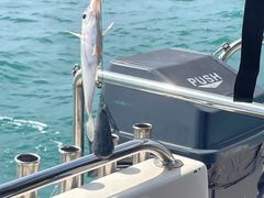 -小猫钓鱼海钓俱乐部(椰梦长廊店)