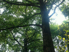 android_upload_pic-径山寺