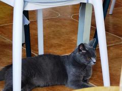 -莱姆星桌游·拼豆·团建