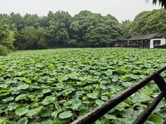 -兰亭风景区