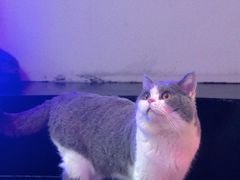 -极木²邸 人与宠物·互动社区