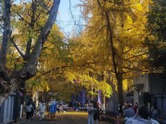 -四川大学(华西校区)