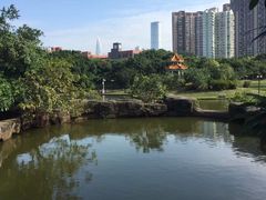 -四海公园(南山区)