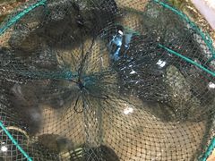 -青竹园海鲜餐厅(海天路店)