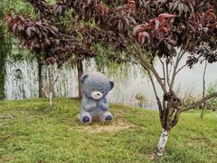 -大塘金香草谷