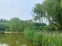 -将府公园