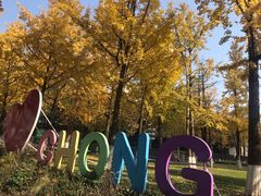 -重庆市江北嘴中央商务区中央公园