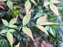 iphone_upload_pic-苏州吴宫泛太平洋酒店