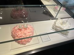 -BLACKSWAN黑天鹅(环球店)