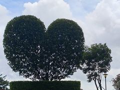 -东莞植物园