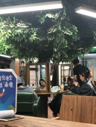 -尚丹尼造型