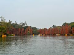 -星湖旅游景区七星岩