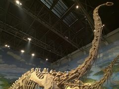 -自贡恐龙博物馆