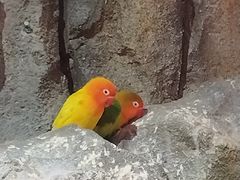 -正佳雨林生态植物园