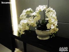 IMG_2677-杭州西湖桔子水晶酒店