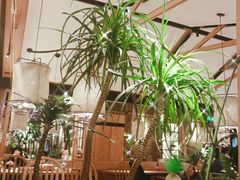 -大头椰·椰子鸡火锅(南宁万象城店)