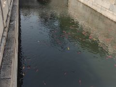 -北京市劳动人民文化宫(太庙)