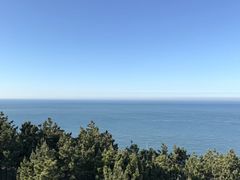-摩天岭风景区