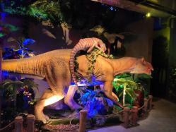 -恐龙探索乐园(磁器口店)