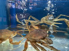 -宁波状元楼酒店(和义路店)