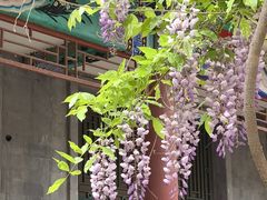 -北京市劳动人民文化宫(太庙)