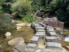 -广州白江湖森林公园