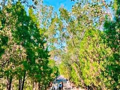 -禅宗少林·音乐大典