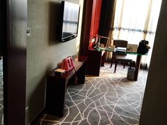 -常州环球恐龙城维景国际大酒店