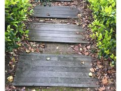 -新江湾城公园