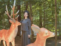 -东明山森林公园
