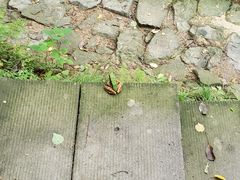 -宁波五龙潭景区