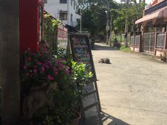 -Tikky Cafe